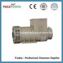 900kw AC Brushless Alternator for Hot Sale